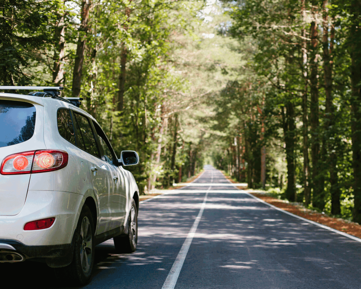 Car in Forest