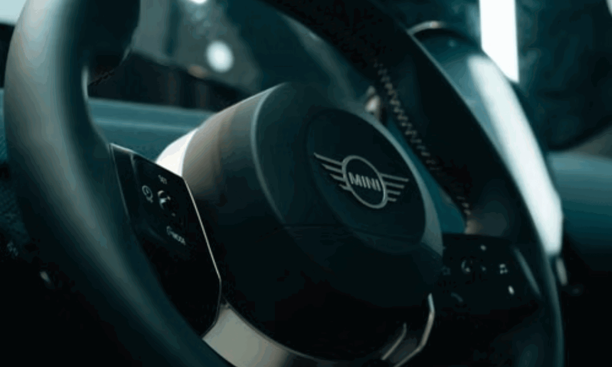 Mini steering wheel.png