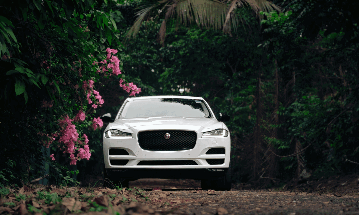 Jaguar white parked