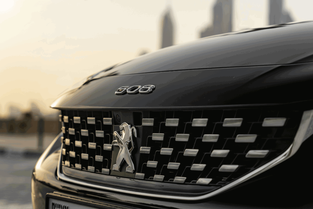 Peugeot grill