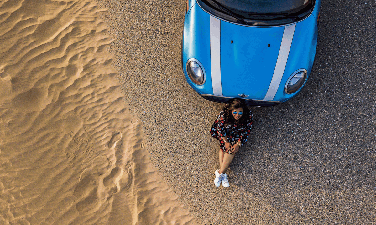 Mini on a beach.png