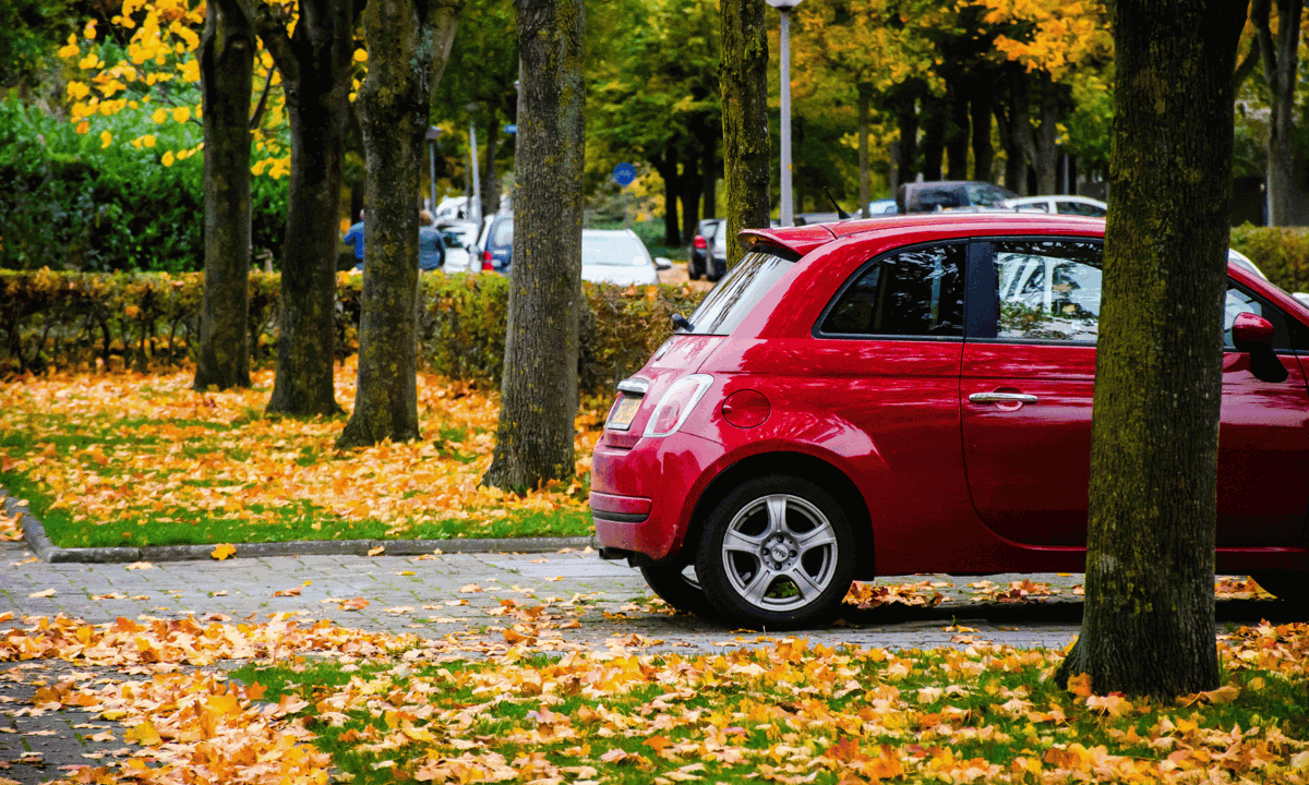 FIat 500 parked on a drive with leaves
