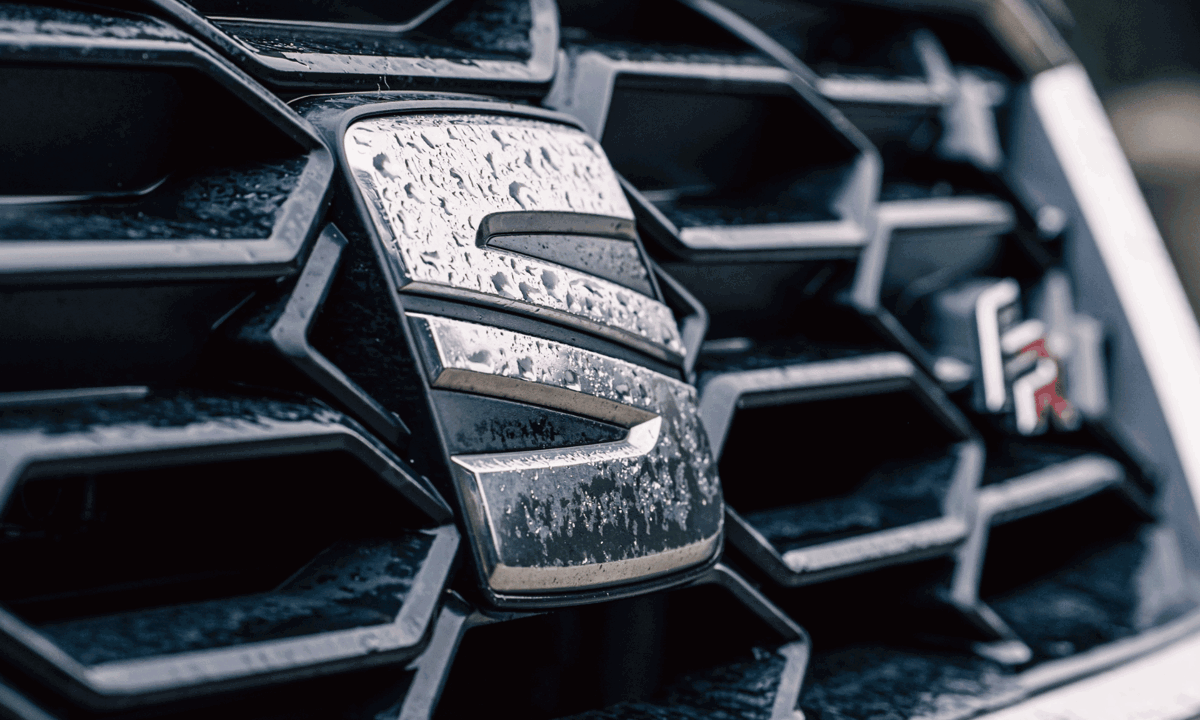 Seat grill